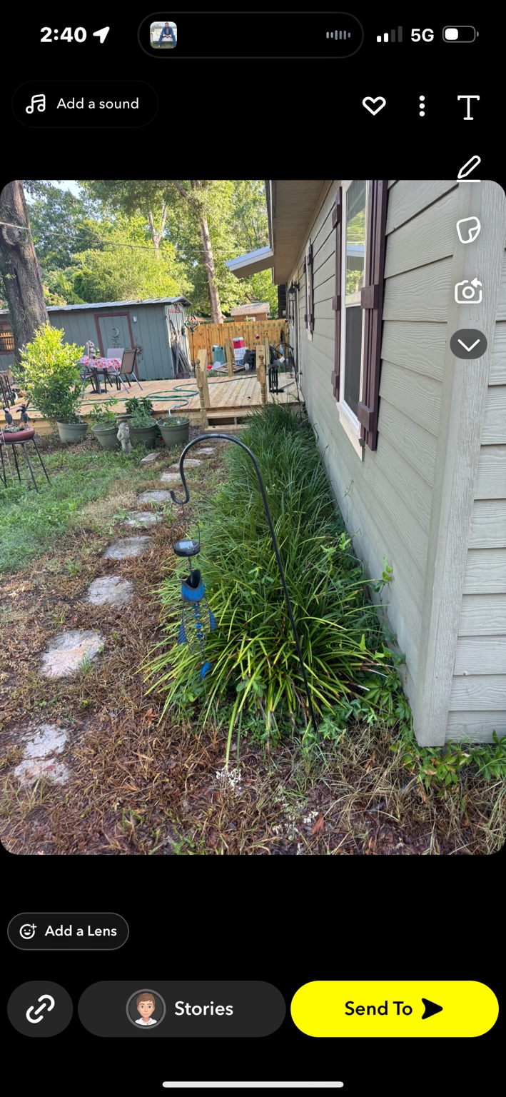 Before: overgrown planting bed and stepping stones beside the house